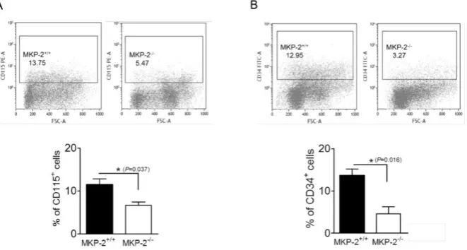 Figure 7. Figure 7. MKP-2 deletion negatively aﬀMKP-2 deletion negatively affects CD115 and CD34 expression