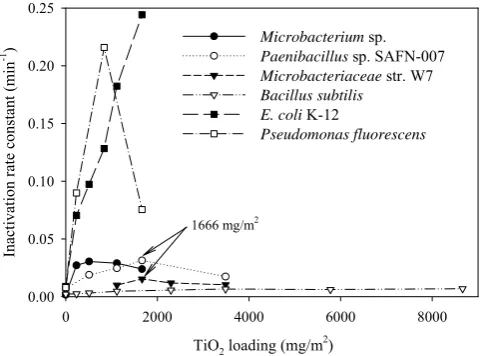 Figure 3.   Inactivation rate constant vs. the TiO2 loading for Gram-negative and Gram-positive  bacteria