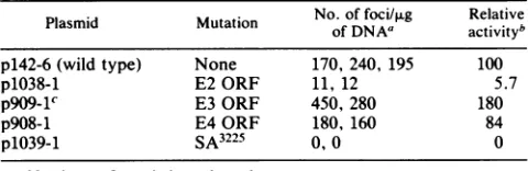 TABLE 1. Transformation of C127 cells by BPV-1mutant plasmid DNAs foci/p.g