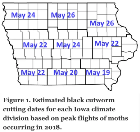 Figure 1. Estimated black cutworm cutting dates for each Iowa climate division based on peak flights of moths occurring in 2018.