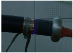 Fig. 1  The construction of the EPR cable sample. Units: mm 