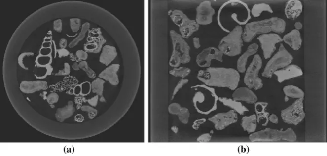 Fig. 3 Sections through the 3D tomographic image of the sample before loading, a top view and b side view