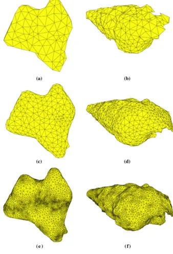Fig. 5 Two shelly grainsrepresented using differentmesh sizes a, b coarse mesh,c, d intermediate size mesh,e, f ﬁne mesh