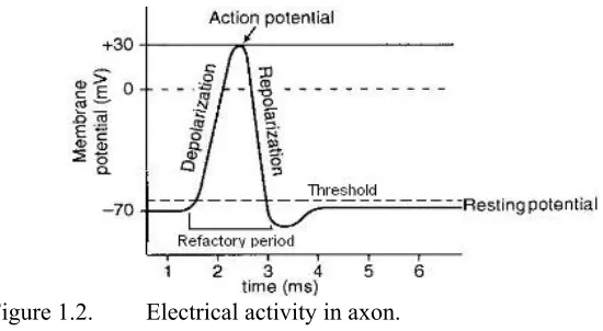 Figure 1.2. 