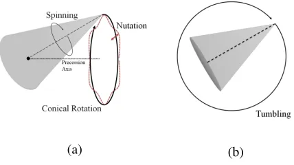 Figure 1: Ballistic target micro-motions: (a) warhead; (b)decoy.