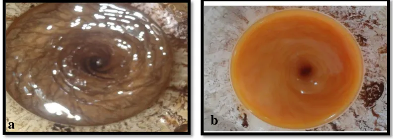 Fig. 2:(a) Mixture color became Brown, (b) Color was changed to bright Yellow 