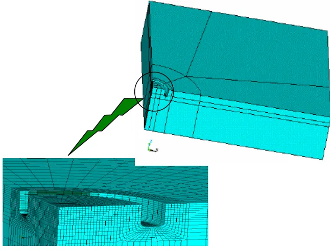 Fig. 3: Finite element view of simulated specimen  