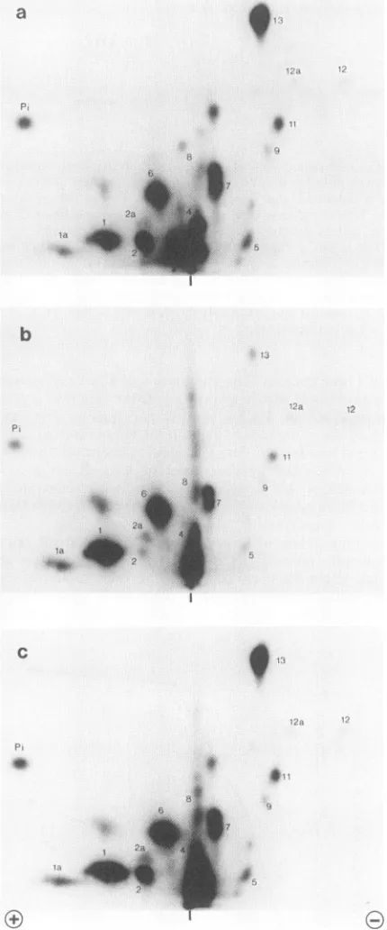FIG.O+> 7.
