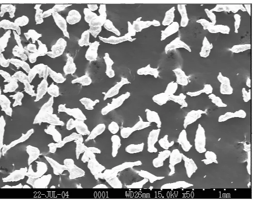 Fig. 1. SEM micrograph of the starting zinc powders. 