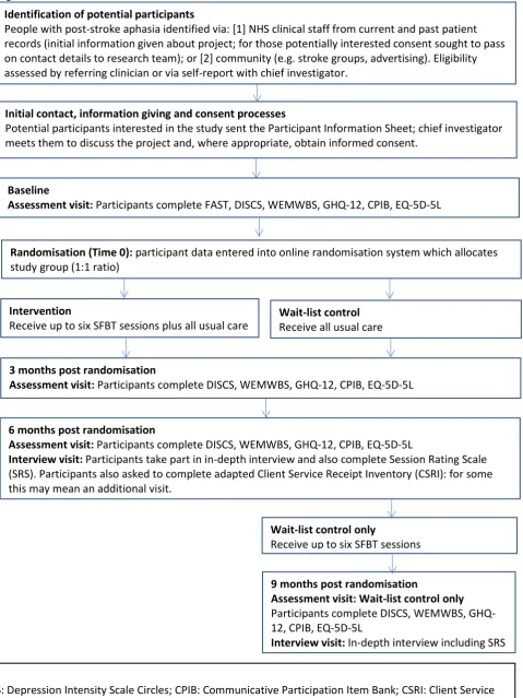 Figure 1: SOFIA Trial Flowchart  