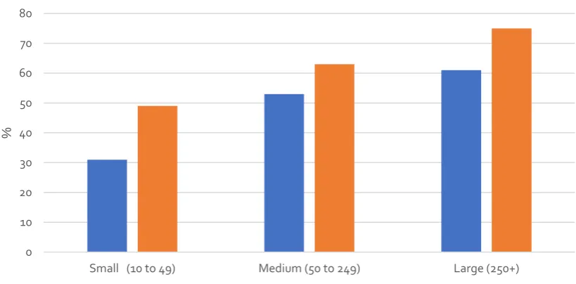 Figure 1.2 Irish enterprises e-Commerce activities, by size category 