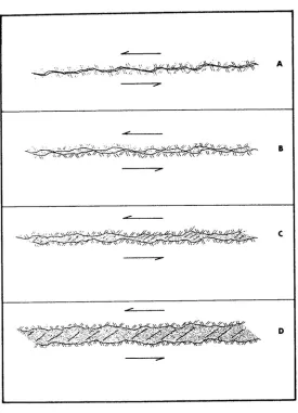 Figure 2.2: Four categories of discontinuity filling thickness (after Barton, 1974) 