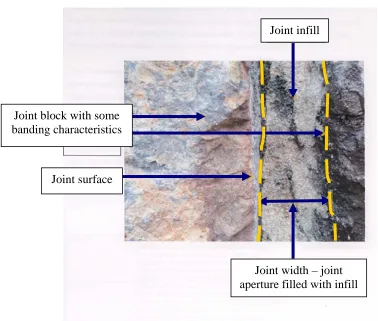 Figure 3.2: Highly jointed granite outcrop selected for the field study 