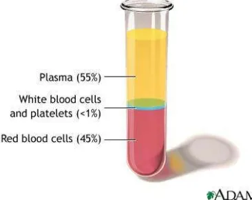 Figure 1 Compostion of blood (Beltina.org) 