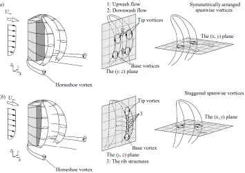 Figure 2.2 Schematic of the flow structure around a wall-mounted finite square cylinder: (a) two symmetric spanwise vortices, (b) asymmetric spanwise vortices [3] 