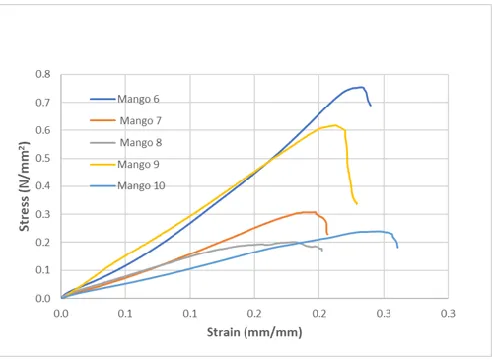 Fig. 7. Stress-strain curve for Tommy Atkins Mango 