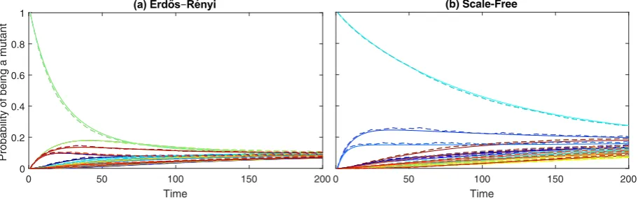 Fig. certain(b)The2. Comparison of the early dynamics of the marginal probabilities for each node on the graph being a mutant A plotted against time as given by Method 4 (solidlines) versus stochastic simulation (dashed lines), when applied to the invasion