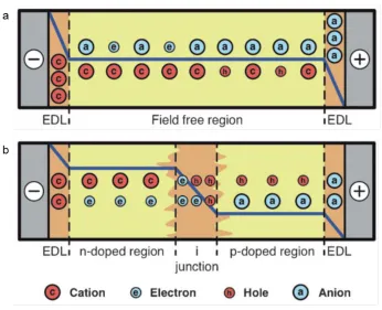 Figure 1.2. Illustration of potential profile and electronic along with ionic charge 
