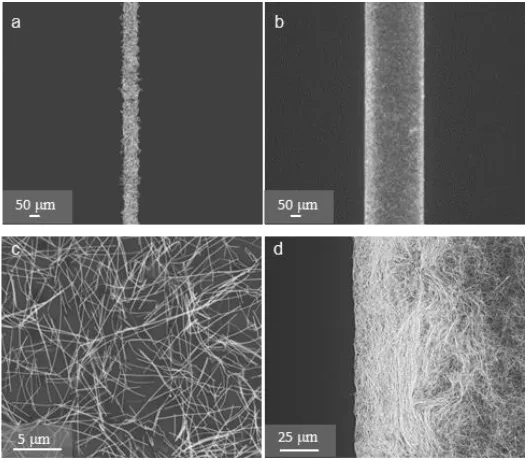 Figure 2.2. SEM images of patterned AgNW/OA lines with widths of (a) 50 m and (b) 300 m on 