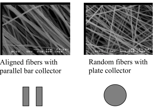 Figure 4.3:  SEM of aligned and random nanofibers (1 wt % MWNT in 4 wt % PEO).  