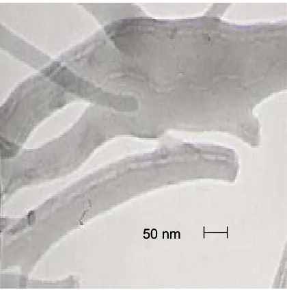 Figure 4.5b: TEM image of 2 wt% MWNT in 4 wt% PEO sample.  This image captures 