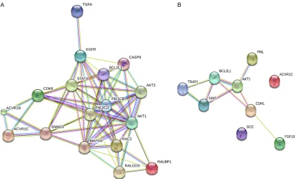 Figure 11. Protein-protein interaction (PPI) network of selected miR-146b-5p target genes
