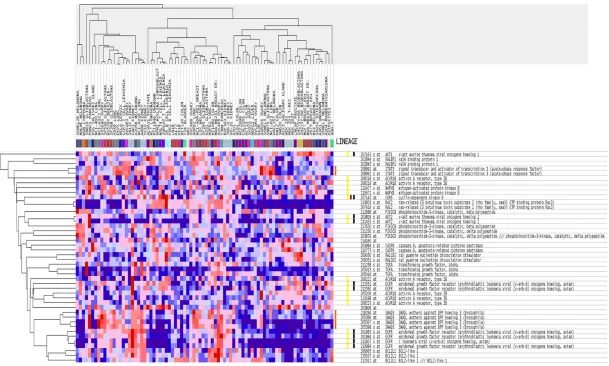Figure 8. Heatmap of genes from the pathway ‘Pancreatic cancer’. The heatmap contains 17 genes and was generated by GSEA (http://software.broadinstitute.org/gsea/datasets.jsp).