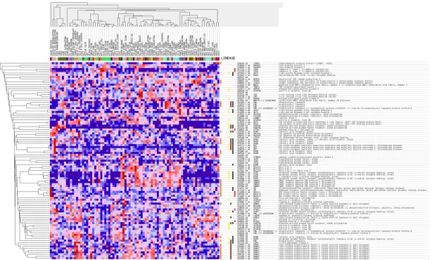 Figure 9. Heatmap of genes from the pathway ‘Pathways in cancer’. The heatmap contains 40 genes and was generated by GSEA (http://software.broadinstitute.org/gsea/datasets.jsp).