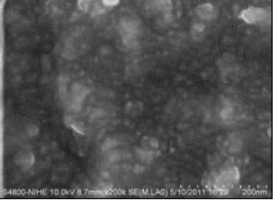Fig. 6. Microstructure after aging at 4500C (x200000)  