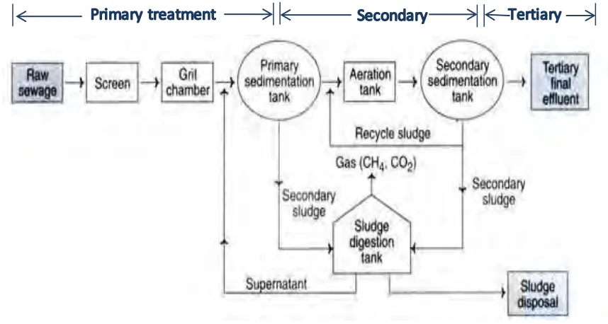 Figure 2.1: The Wastewater Treatment Process 