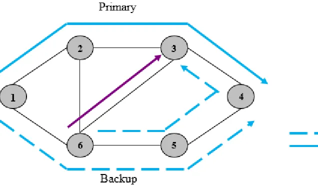 FIGURE 2.11: Shared Path Protection