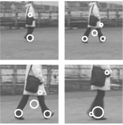 Figure 2.2.16: Sample of feature points extracted in [17]. The circles represent the locationof extracted corners.