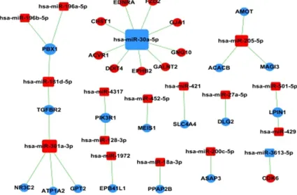 Figure 3. MiRNA-Gene-Network Analysis. The miRNA-mRNA network was generated according to the relationship of significantly functional screened mRNAs and miRNAs