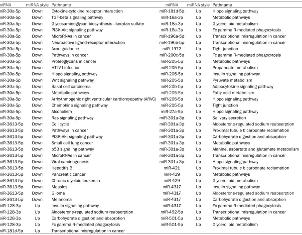 Table 6. The result of miRNA-Pathway-Network analysis