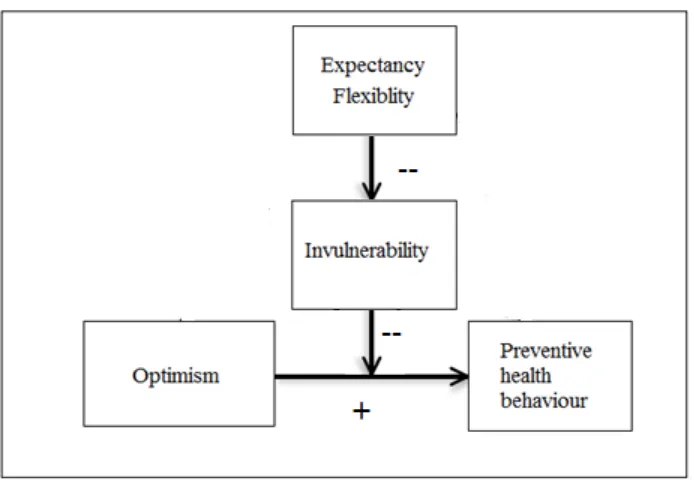 Figure 2. Mediated moderation model for preventive health behaviour. 