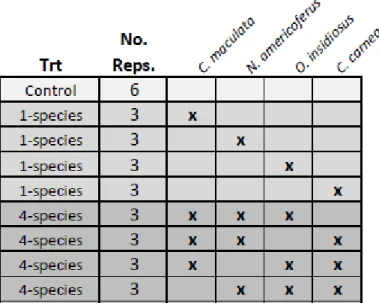 Figure 5. Natural enemy species combinations used to create treatment replicates in  laboratory terraria