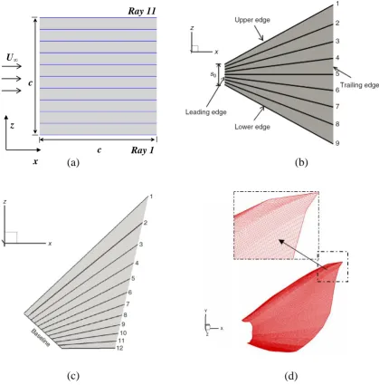 Figure 1 Various ray-fin models. (a) Caudal fin model of Shi et al. [16]. (b) Caudal fin model of Zhu and Shoele [8]