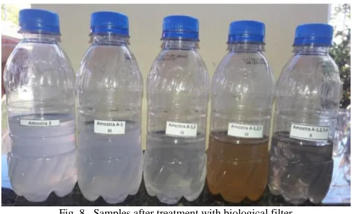 Fig. 8.  Samples after treatment with biological filter 