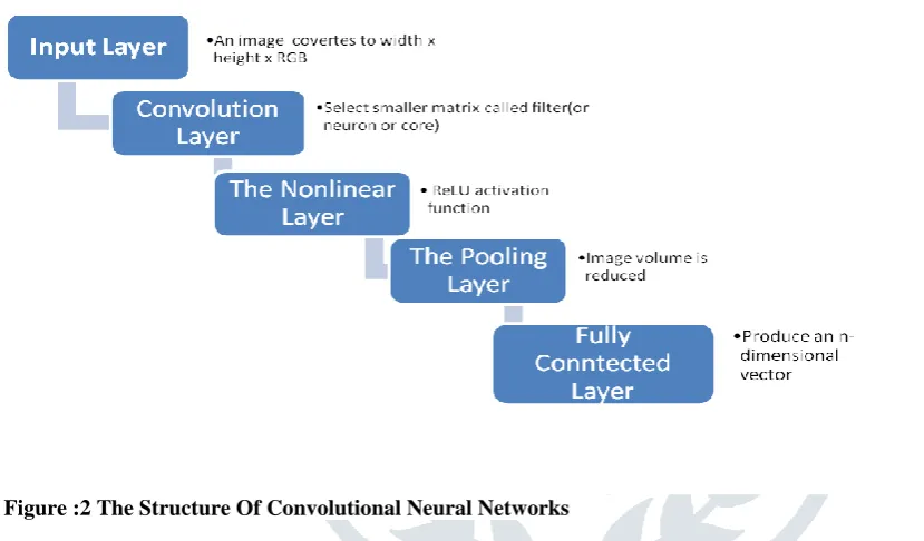 Figure 1 : The Operation Of Convolutional Neural Networks [8] 