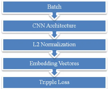 Figure 3: Workflow of Facial Extraction System 