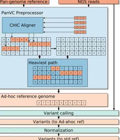 Figure 5.2: Schematic view of our PanVC workflow for variation calling, including a conceptual example