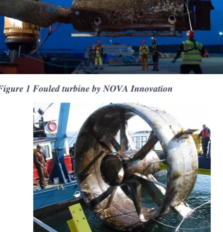 Figure 2 Fouling after 6 month (Clean Current Tidal Power Demonstration Project)  