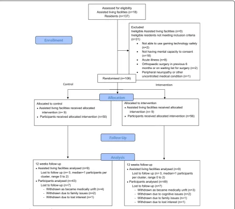 Fig. 2 CONSORT flow diagram for cluster RCT