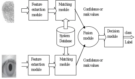 Fig. 5 Various Level of Fusion   