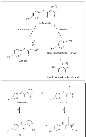 Figure 2. Diagrams reporting originally identified (top) and more recently �-cyanoenol functional groups of LEF and A77-1726