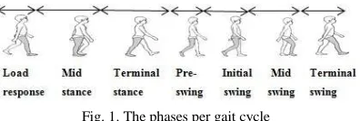 Fig. 1. The phases per gait cycle 