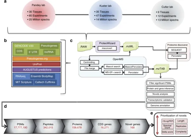 Figure 1 | Proteogenomic analysis pipeline. (a) 4,917 raw ﬁles from the draft human proteome data sets 14,15 ; containing 52,236,496 spectra comprising 61 different healthy human tissues were reprocessed