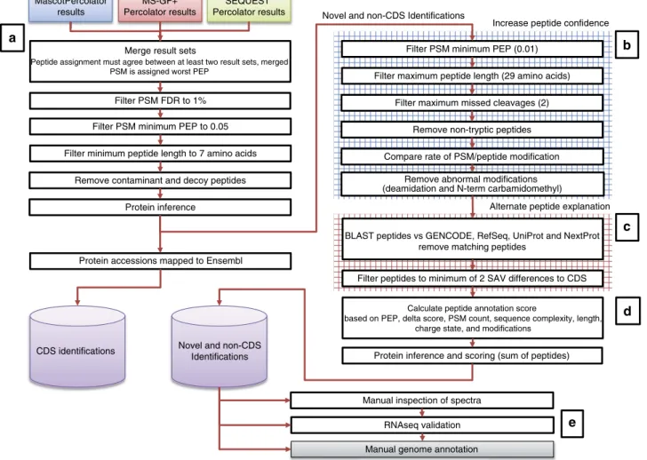 Figure 4 | High-stringency peptide ﬁltering regime. This workﬂow lays out the extensive ﬁltering applied to search results before being passed on for genome annotation