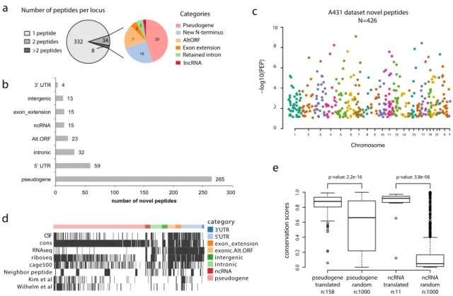 Figure  7.  Unannotated protein-coding loci  found  in  the  A431  cells  dataset.  a)  The  left  pie  chart  shows the number of unannotated protein-coding loci supported by one, two or more peptides (peptides  within  10kb  distance  were  grouped  into