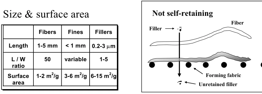 Figure 8.  Sizes and Surface Areas of Dried   